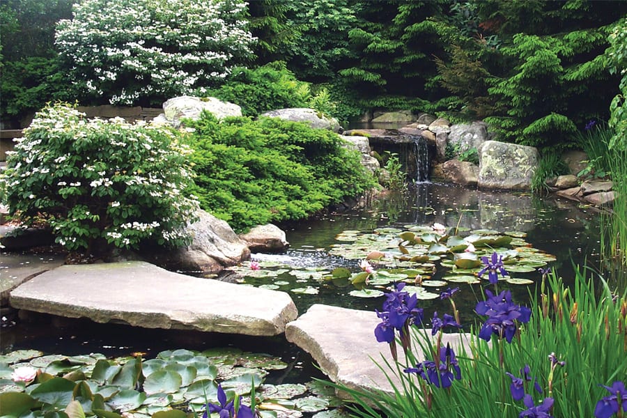 pond-with-waterfall-spill-rocks-and-boulders