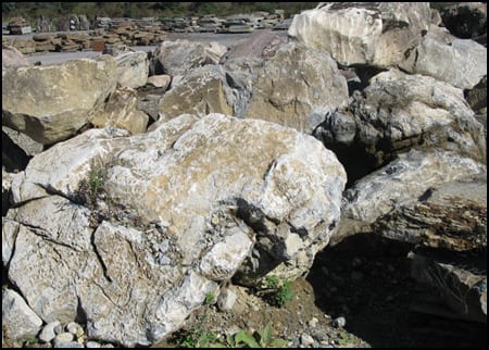 Moss Rock boulders also come without Moss which reveals the beauty of the stone below