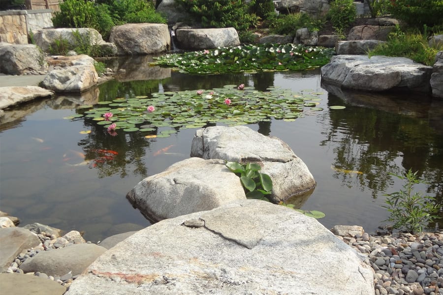 placement-rocks-new-jersey-watergarden