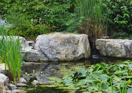 Boulders for water gardens
