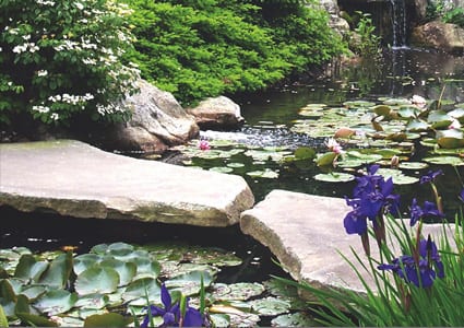 Bridge Rocks for water gardens