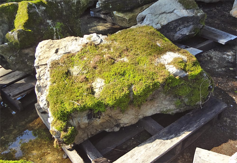 Photograph Of A Typical Moss Rock At Wicki Stone