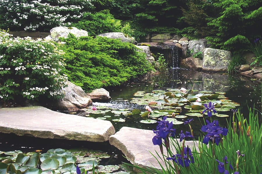 Water Garden Stone Choices