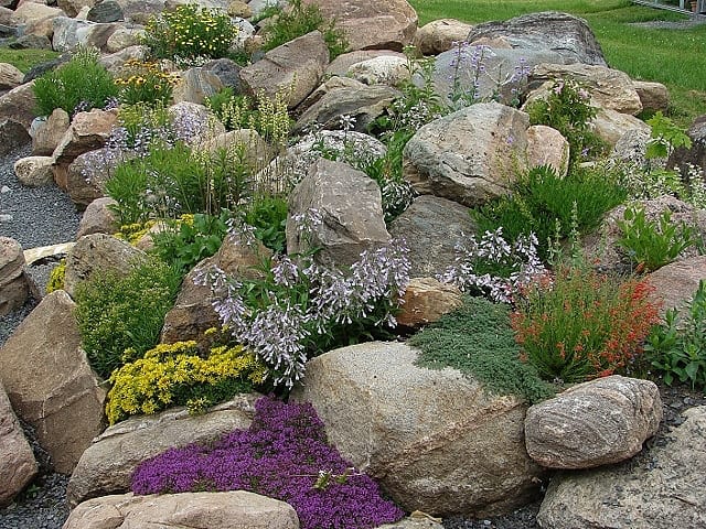 Example Of A Rock Garden