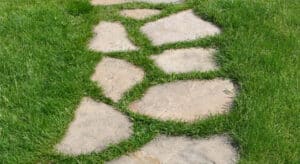 Picture of garden path stone in grass