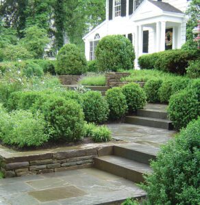 picture of a Bluestone walkway and Bluestone Steps