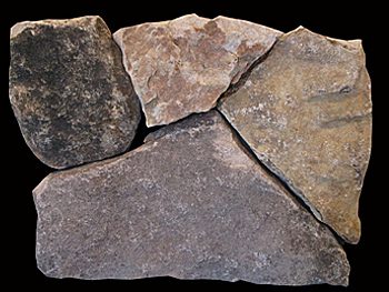 Tuscorora-Mosaic-Thin-Veneer-Stone