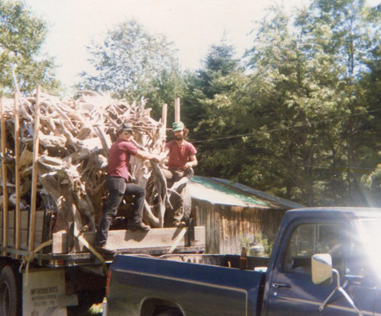 Pete & Al Collecting Driftwood