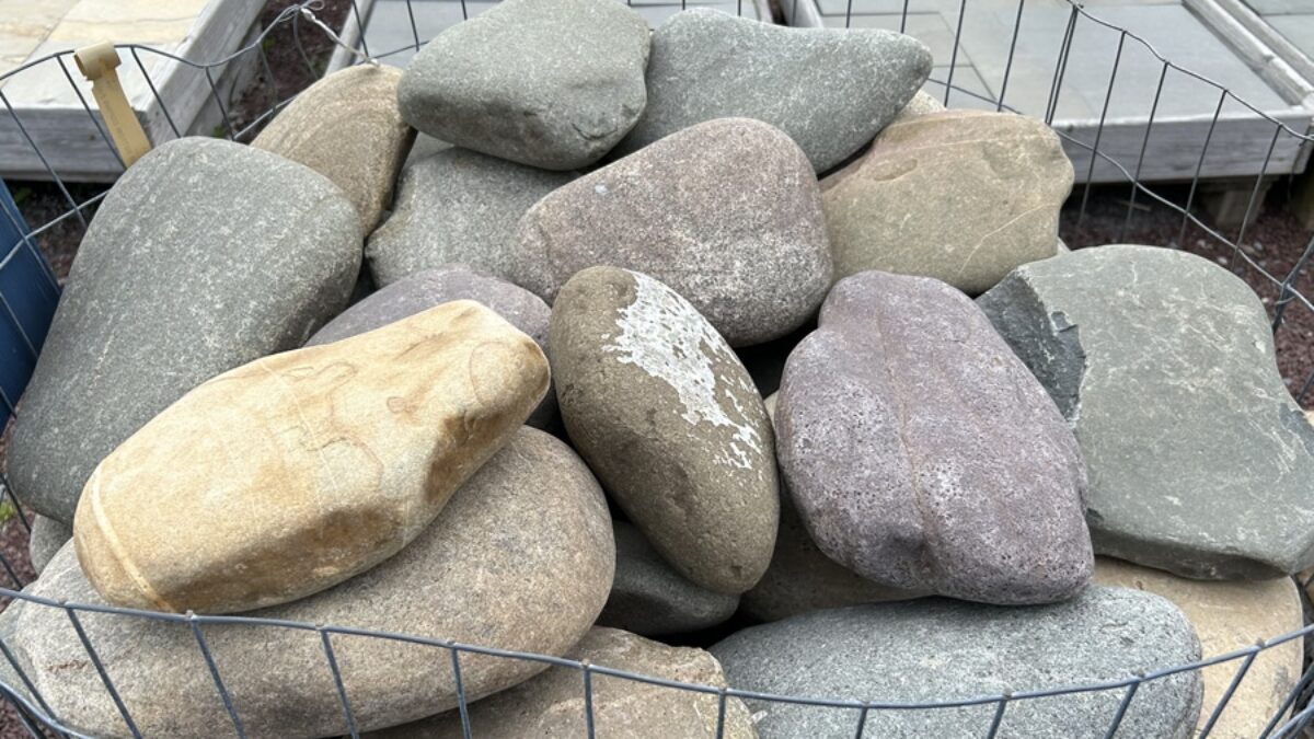 River Rock Stone (5-12)—Holly Days Nursery, Garden Center, Landscape