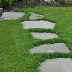 a picture of bluestone garden path stone - also called stepping stones or steppers