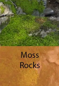 Our-Favorite-Natural-Moss-Rocks